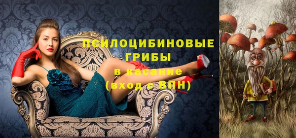 сатива Медногорск