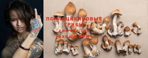 винт Медвежьегорск
